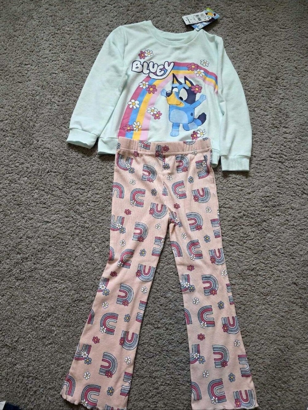 Bluey Outfit